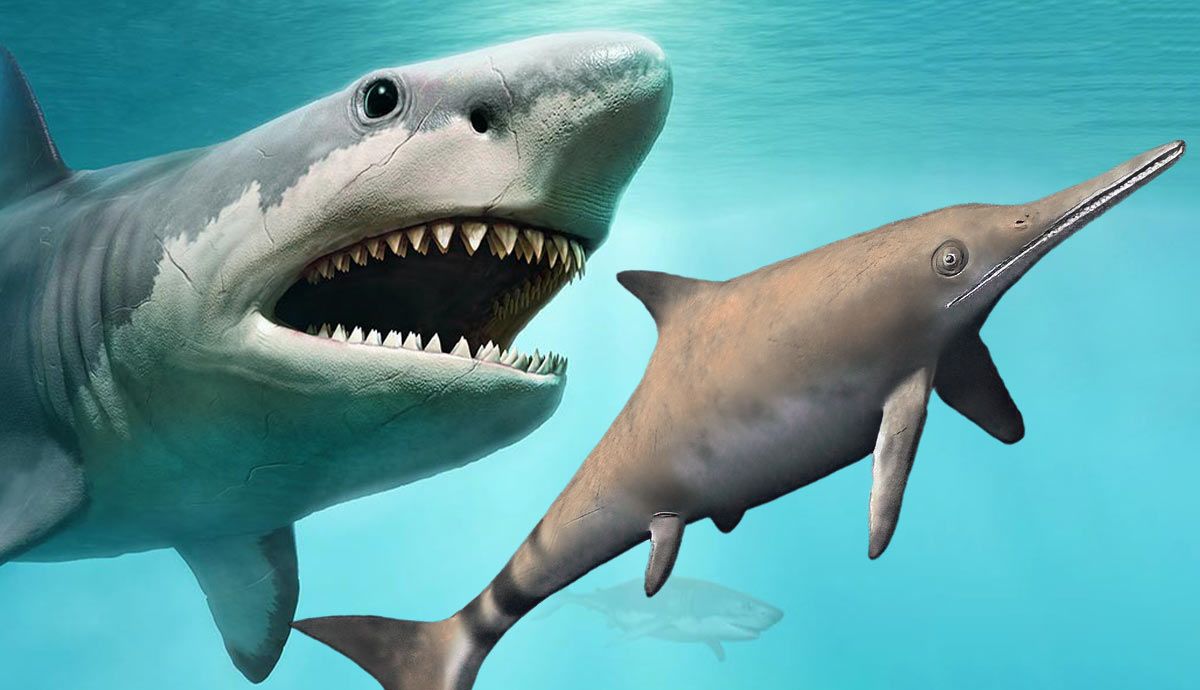 5 Rare and Extinct Fossil Sea Creatures