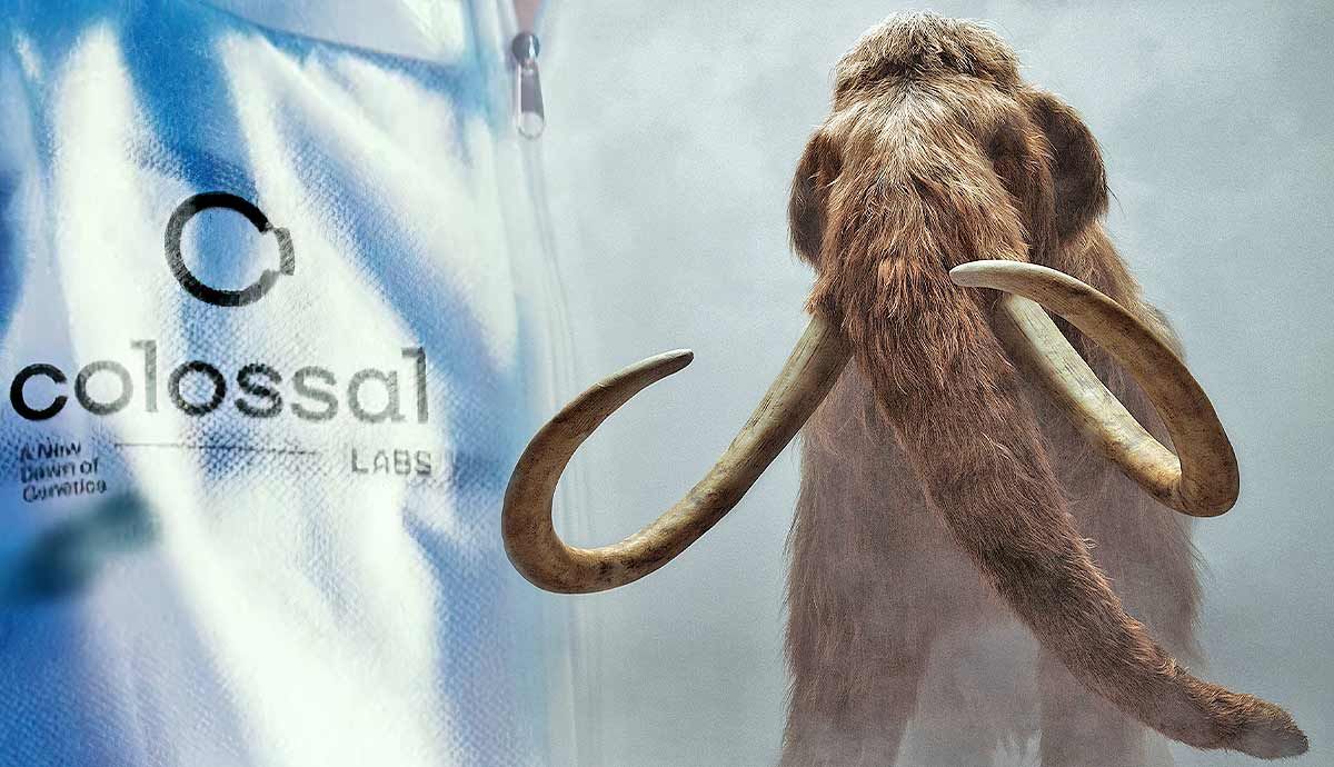 Are Woolly Mammoths Coming Back?
