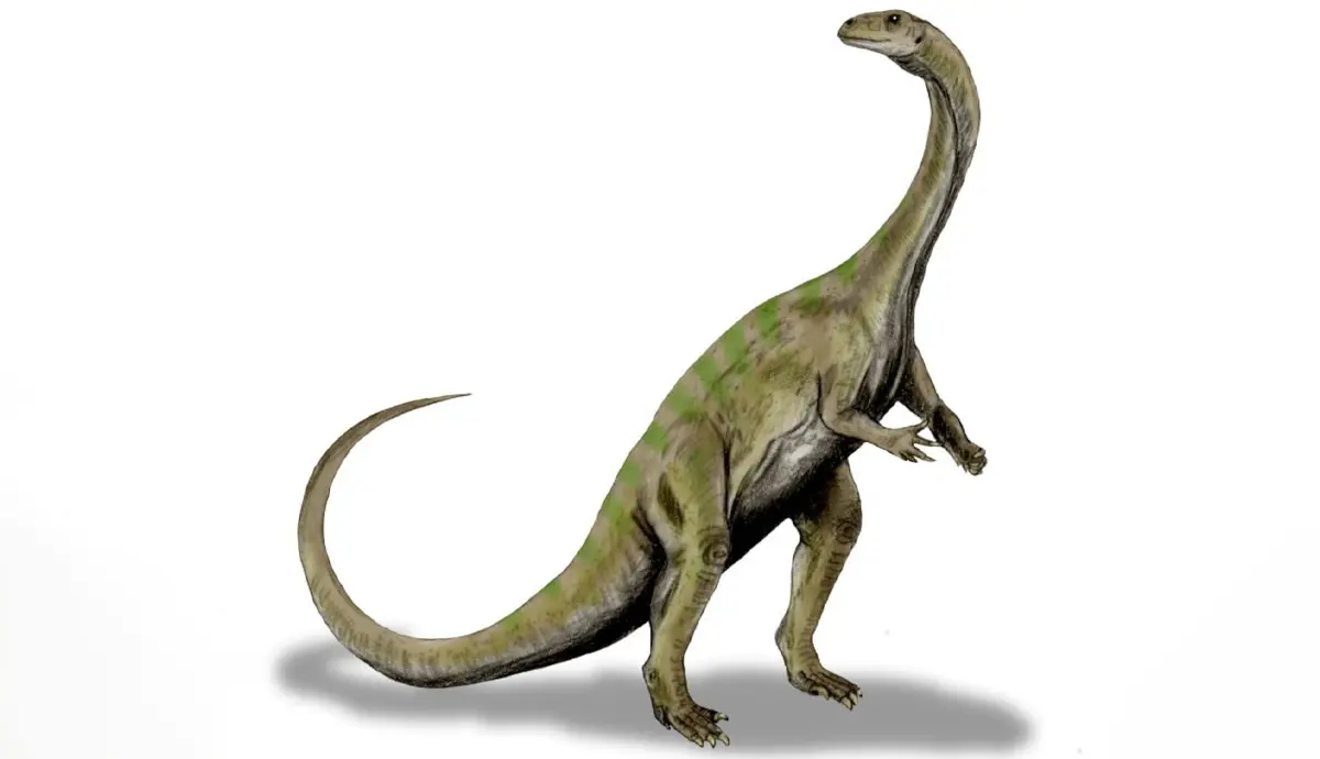 Massospondylus reconstruction