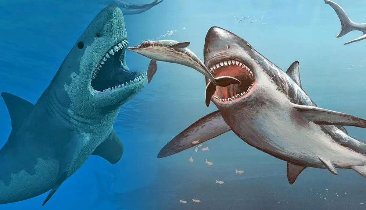 Megalodon: The Extinct Ocean Predator