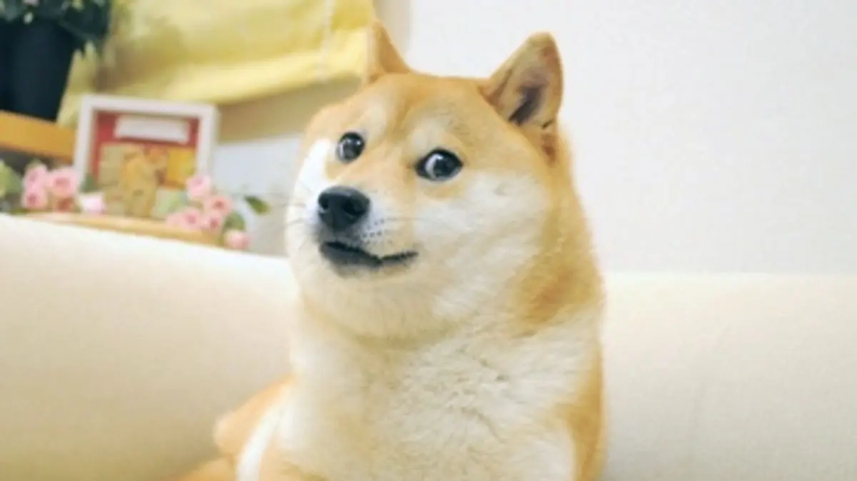 Original_Doge_meme