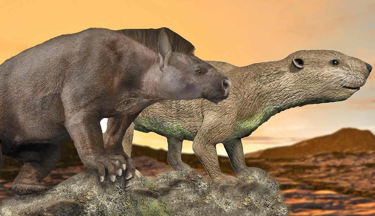 The Mammals of the Dinosaur Age