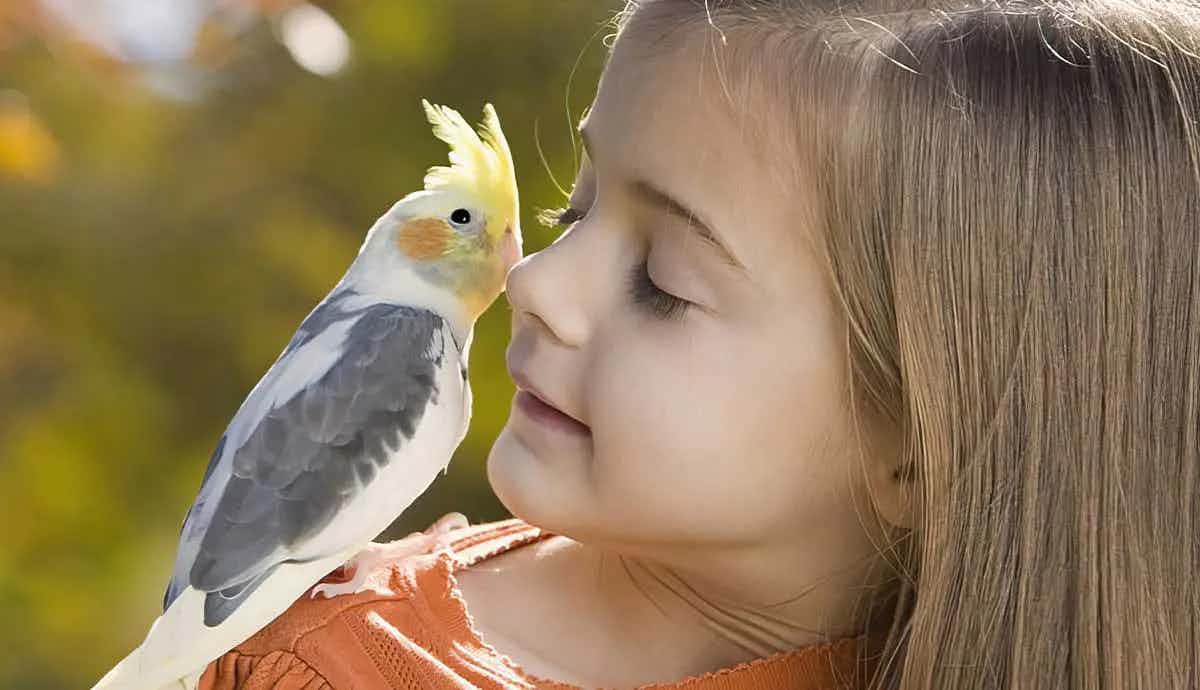 5 Most Popular Pet Birds