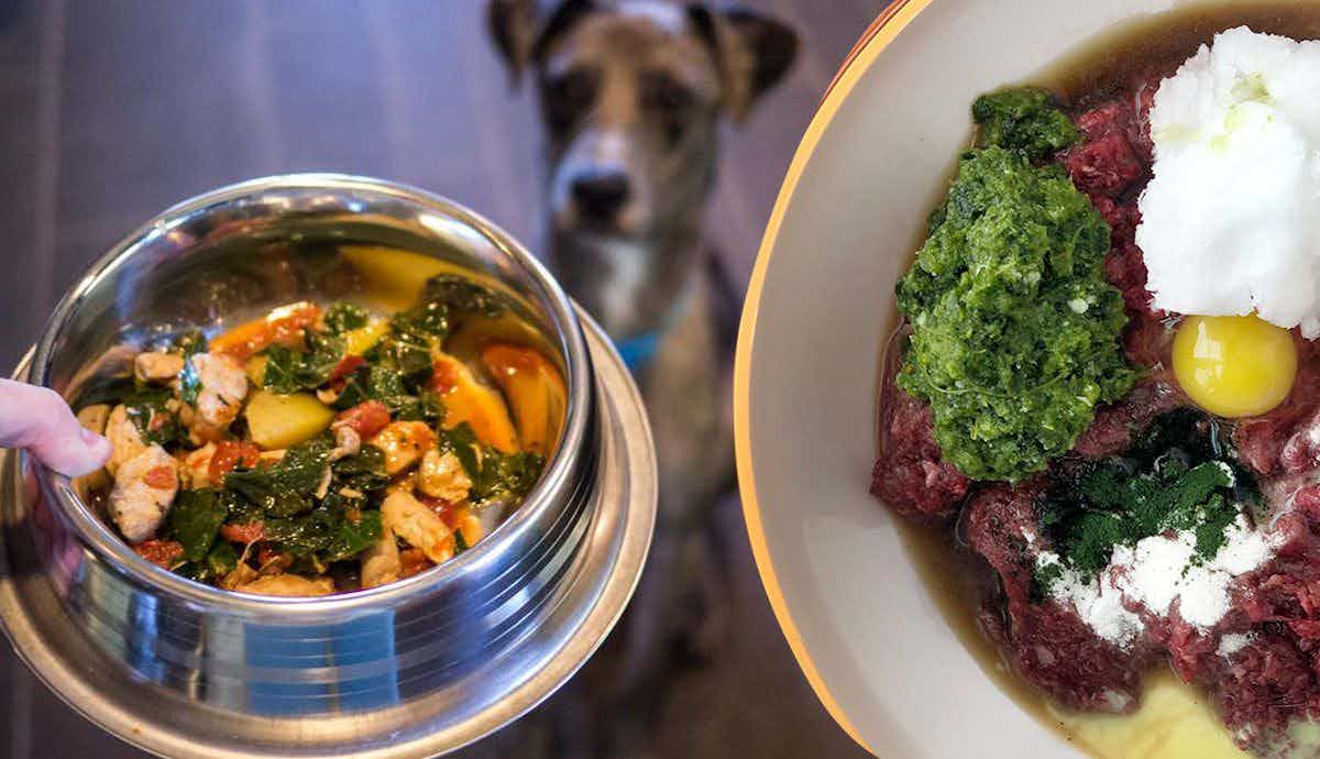 4 Easy to DIY Meals for Dogs