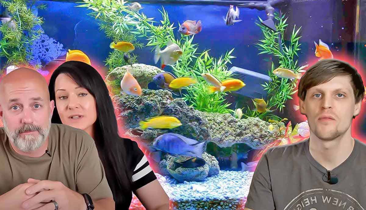 4 YouTubers Fish Owners Should Follow
