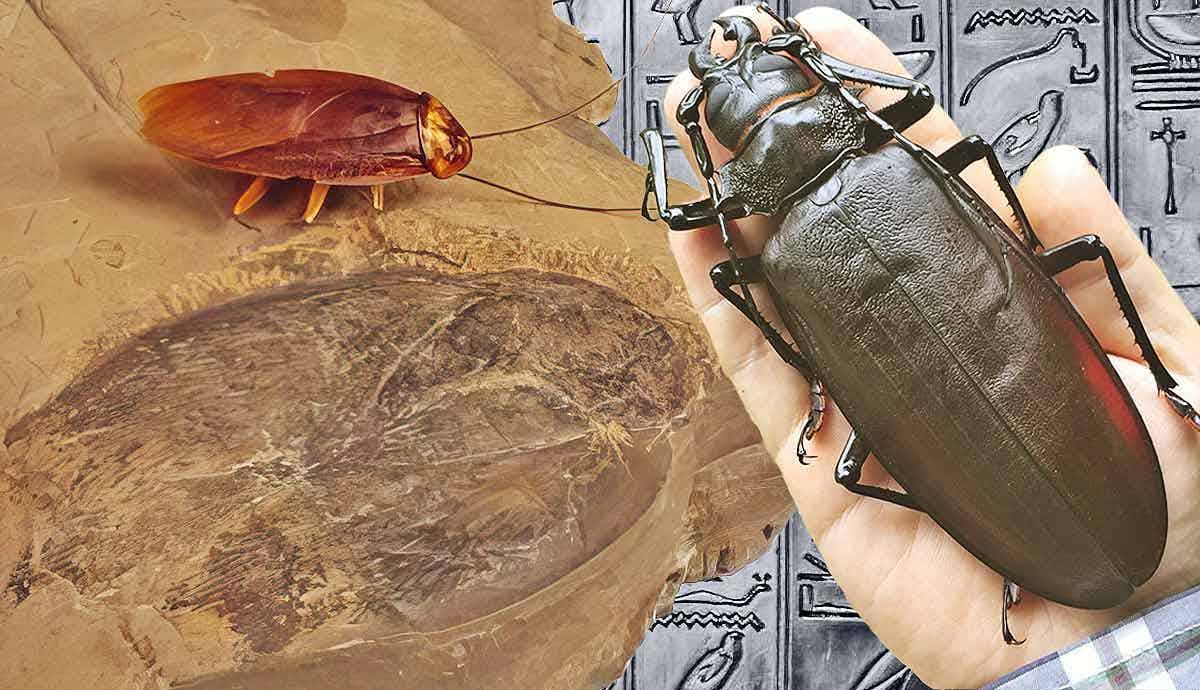 Prehistory’s Giant Bugs