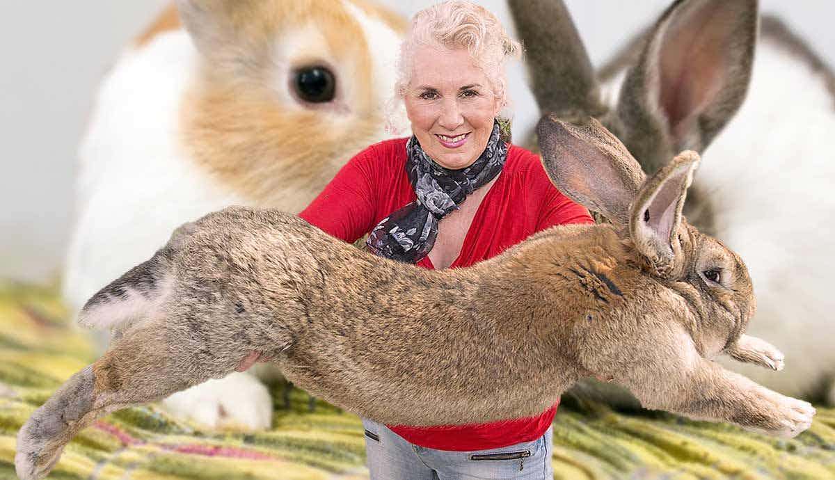 The 5 Friendliest Rabbit Breeds