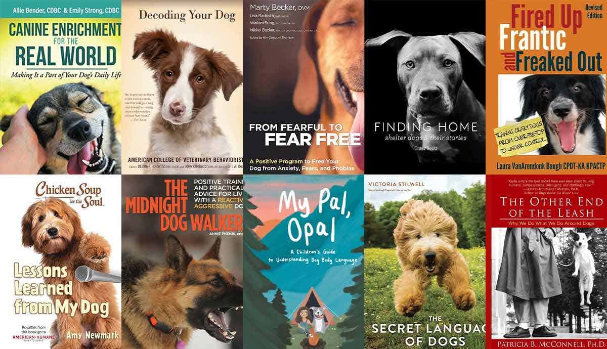 10 Books Every Dog Owner Should Read