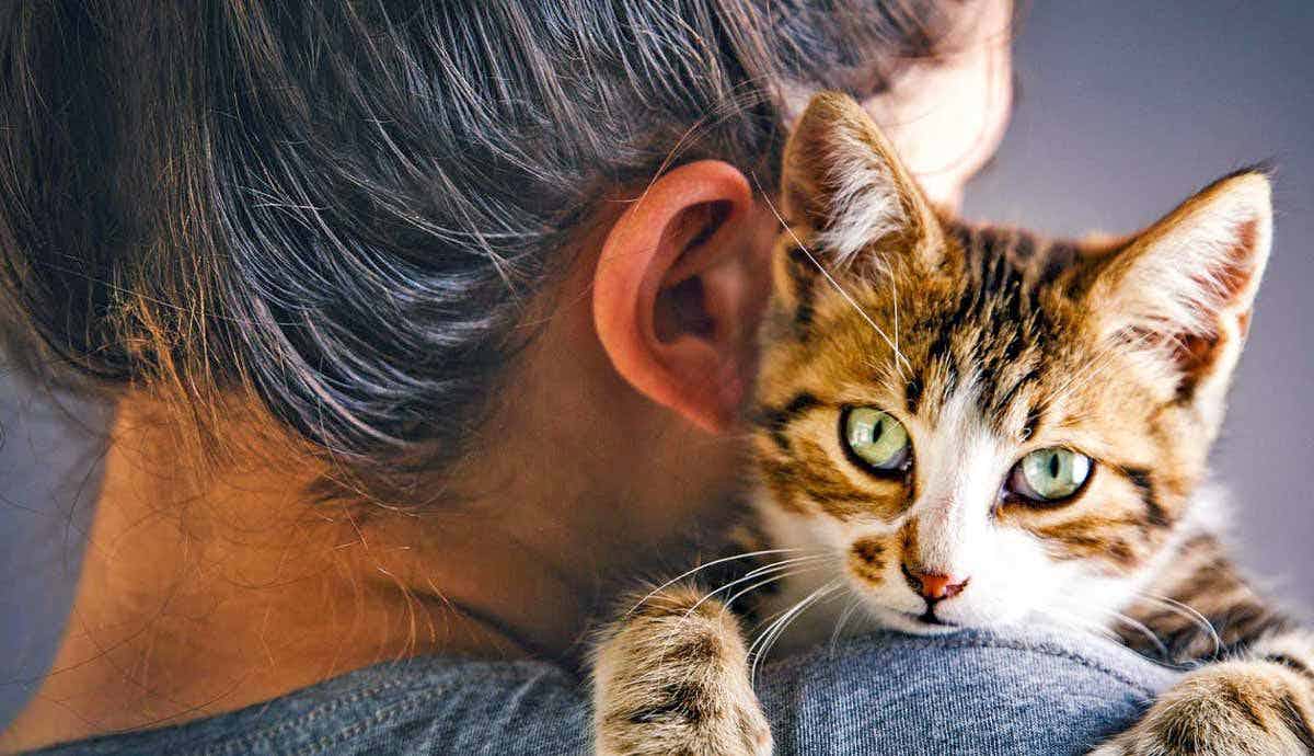 Why Owning a Cat is Good for Your Health
