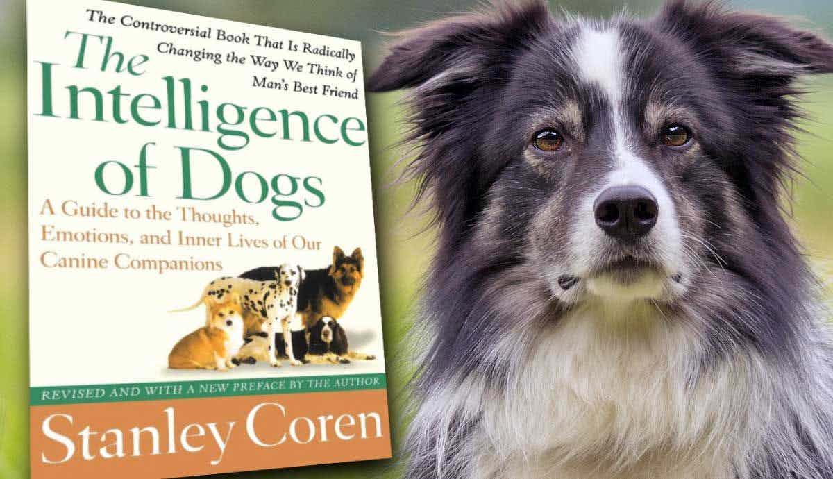 What is The Intelligence of Dogs About?