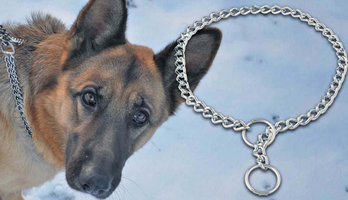 Can Choke Chains Harm Dogs?