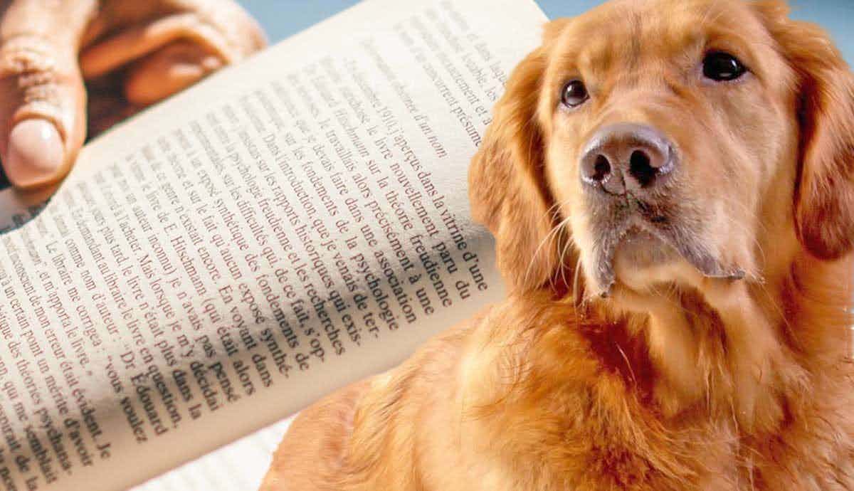 6 Books Where the Dog Survives at the End