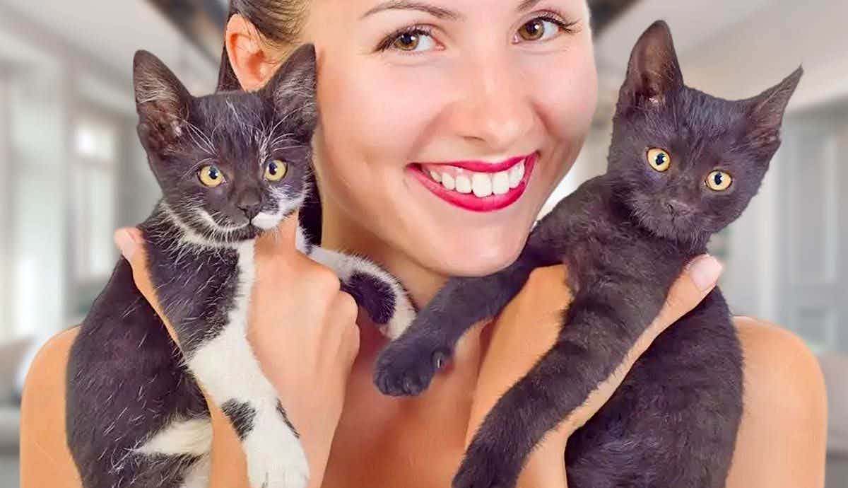 6 Things to Know Before Adopting a Kitten
