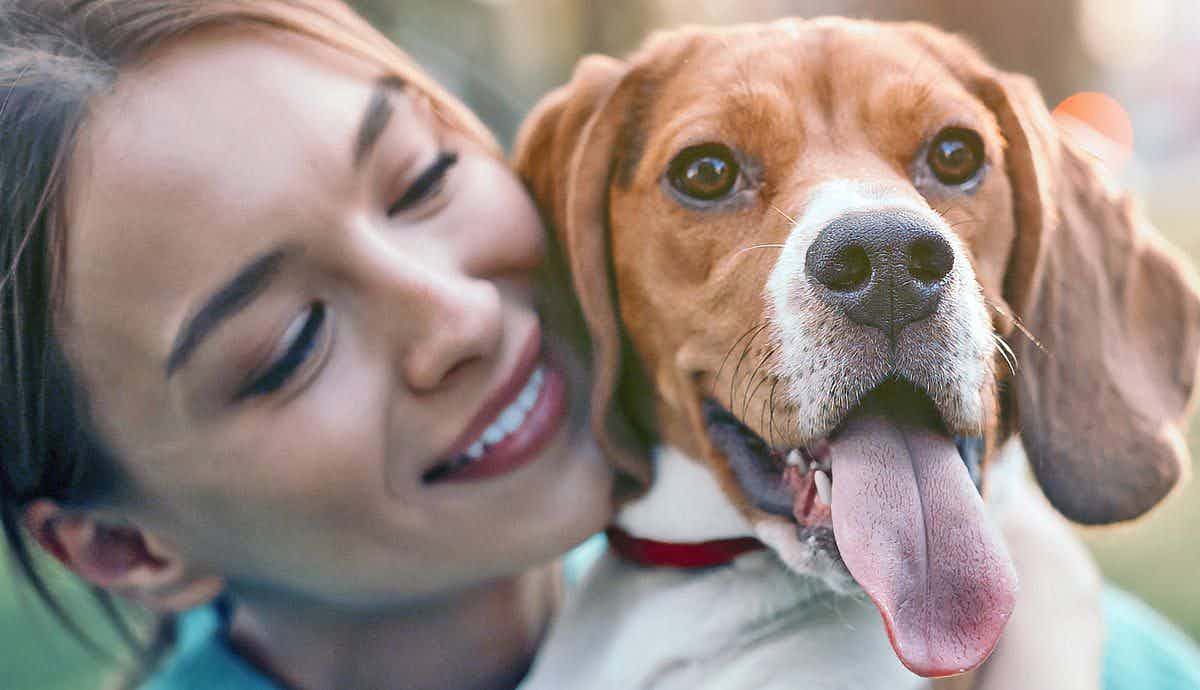7 Tips for Finding a Good Pet Sitter