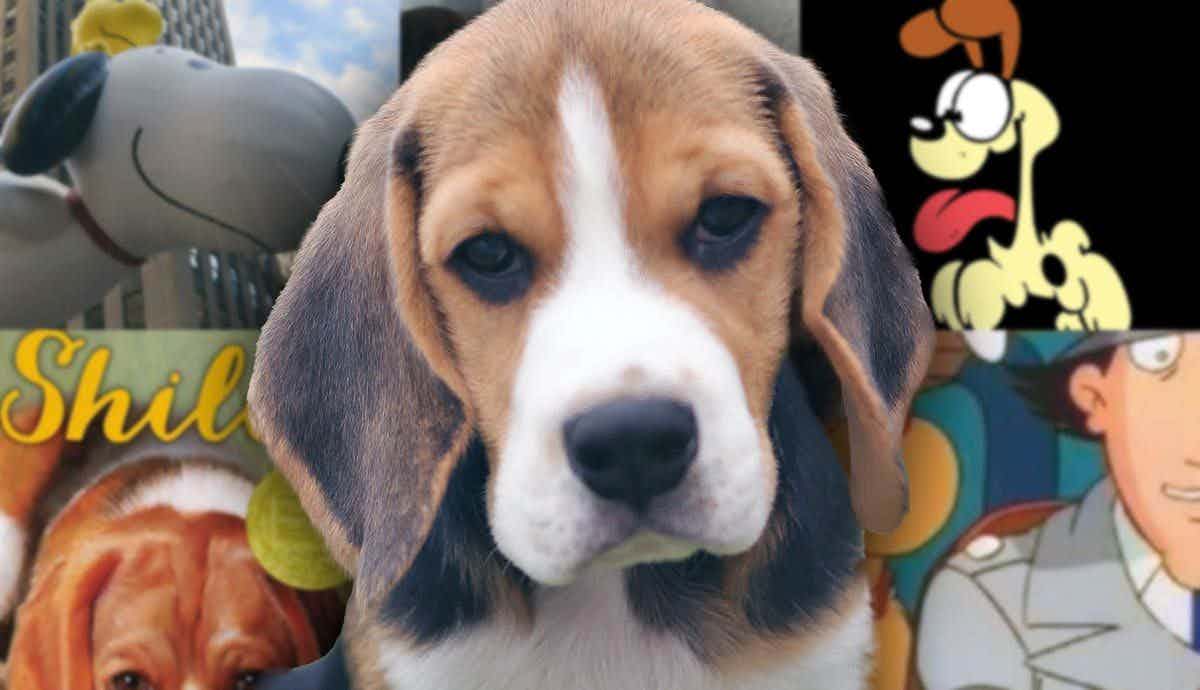 6 Famous Pop Culture Beagles