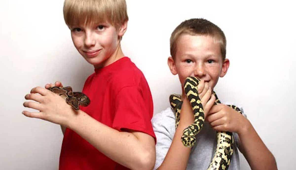 The Pros & Cons of Keeping a Pet Snake