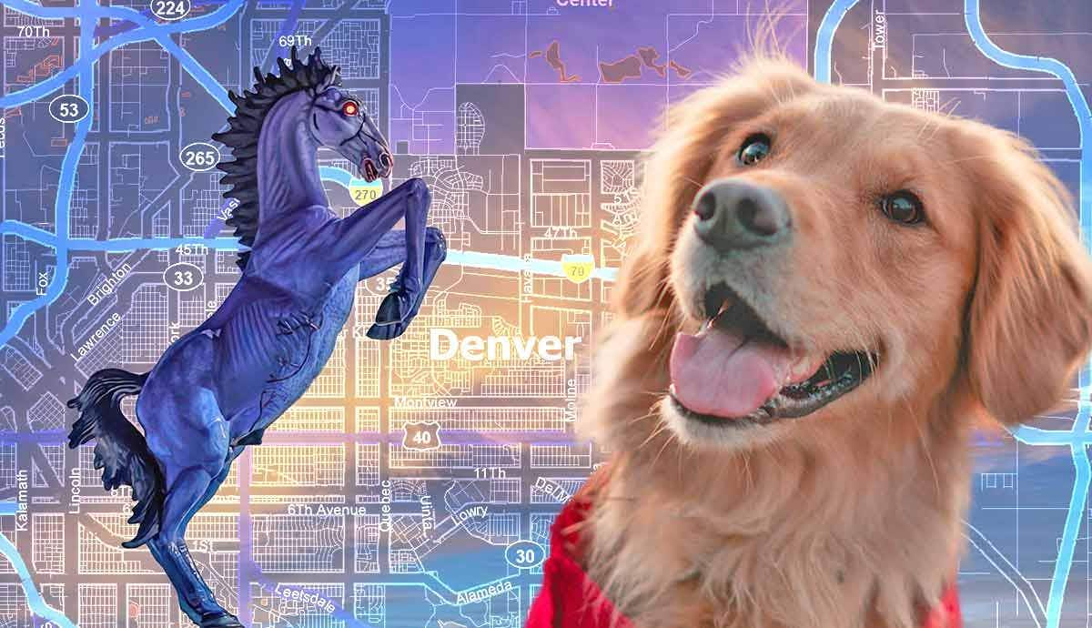 9 Pet Friendly Places to Take Your Dog in Denver