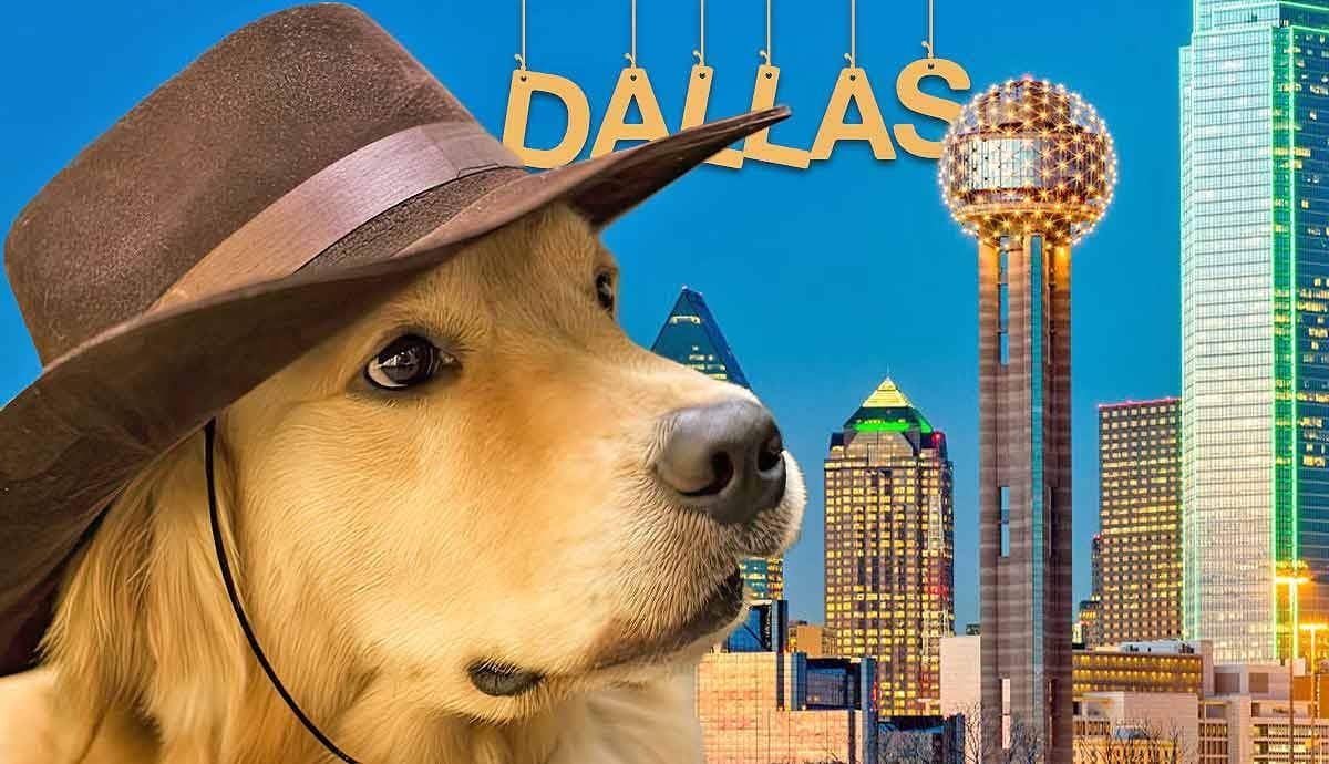 7 Pet Friendly Places for Dogs in Dallas