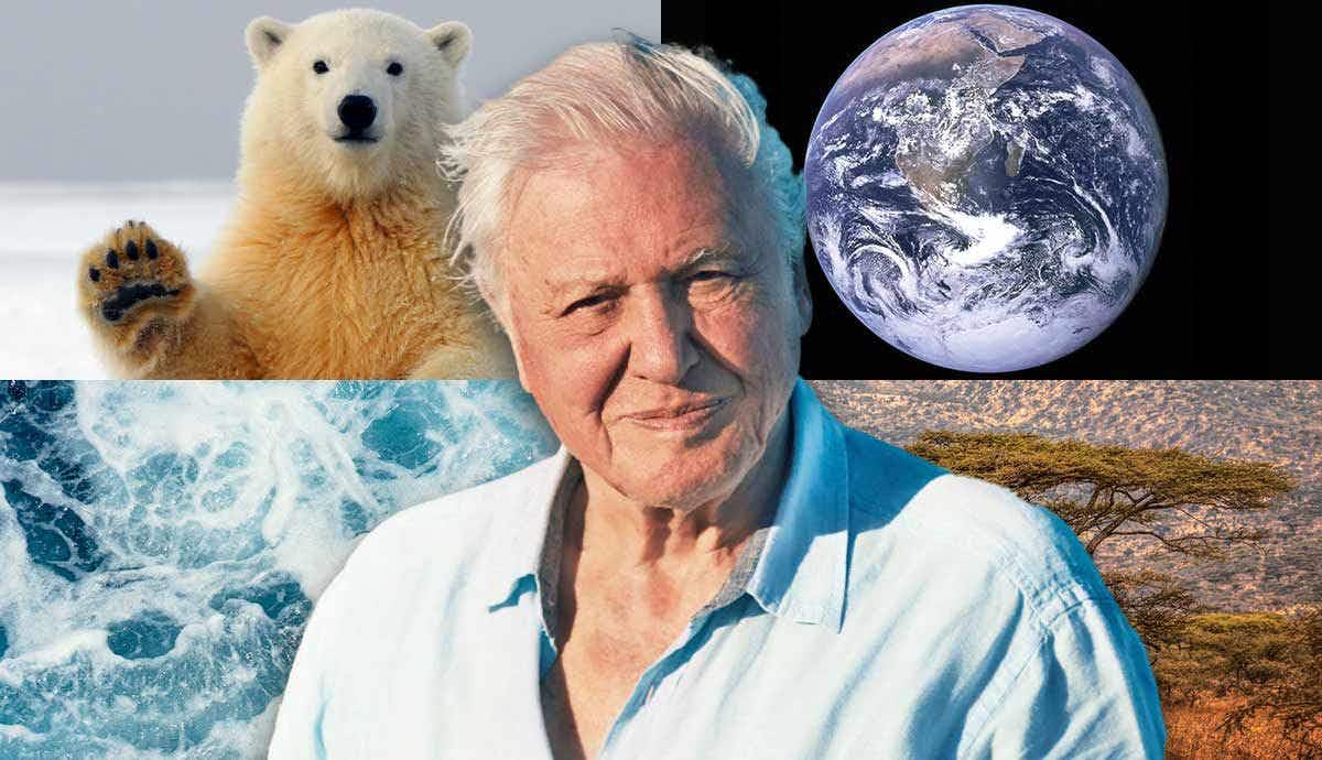 5 Best David Attenborough Animal Documentaries