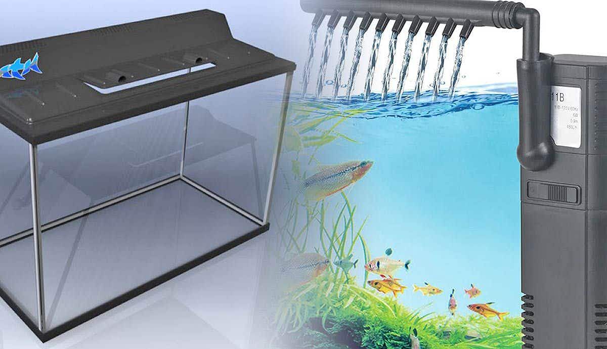 How to Successfully Set up a Fish Tank