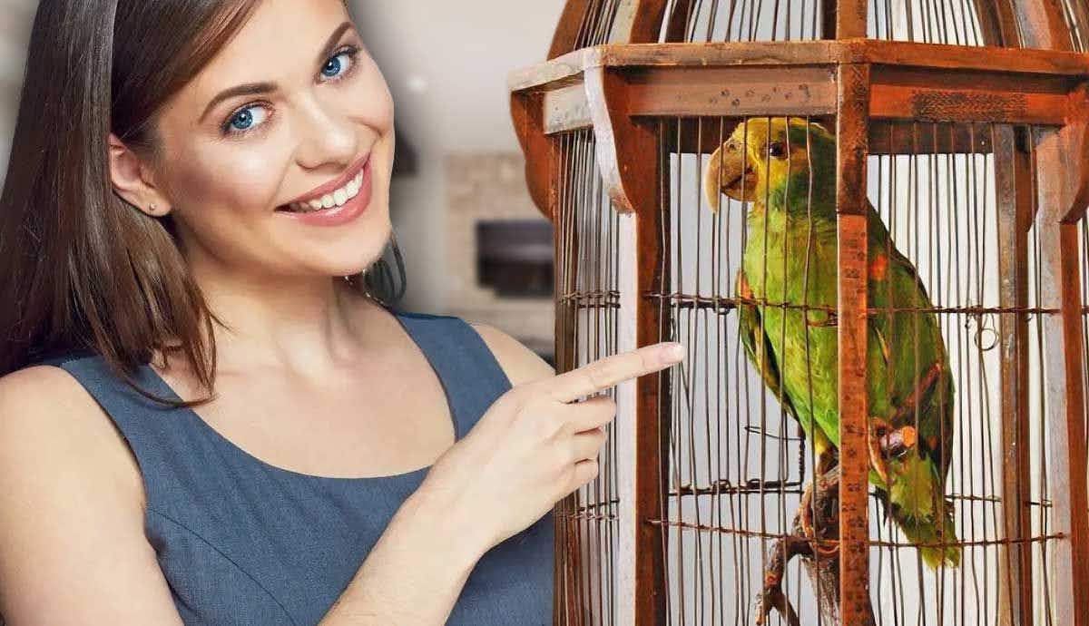 Is it Immoral to Have a Pet Bird?