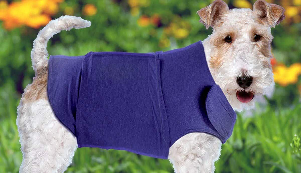 Do ThunderShirts Really Work on Dogs?