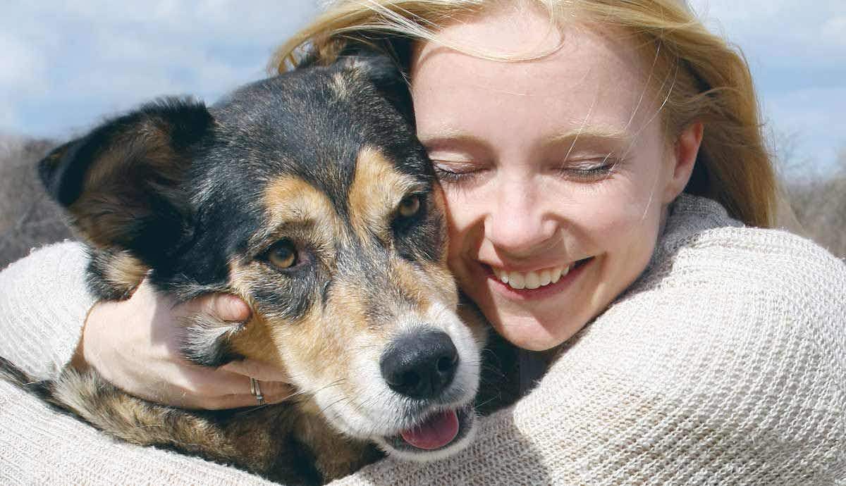7 Things Pet Lovers Should Know About Fostering