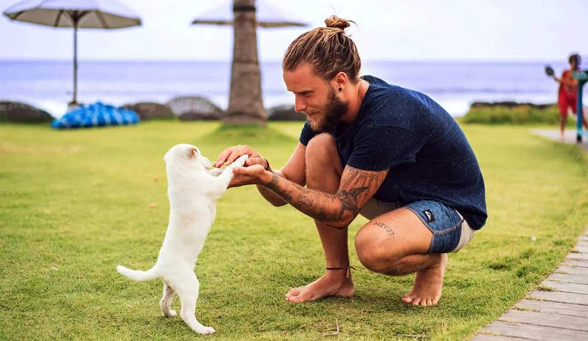 man and small puppy doing training