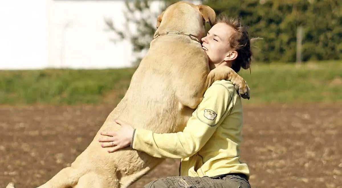 dog human hug