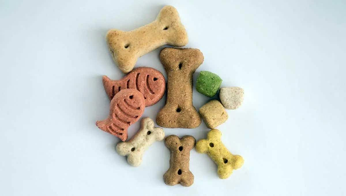 dog treats