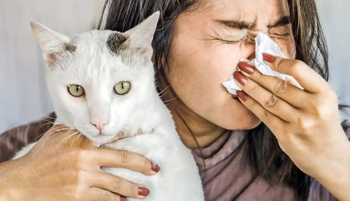 how to get rid of cat allergies naturally