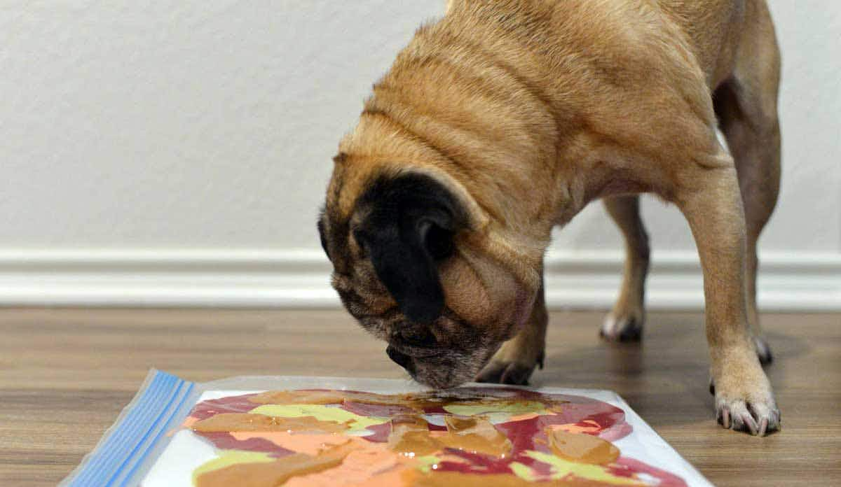 Lick Painting