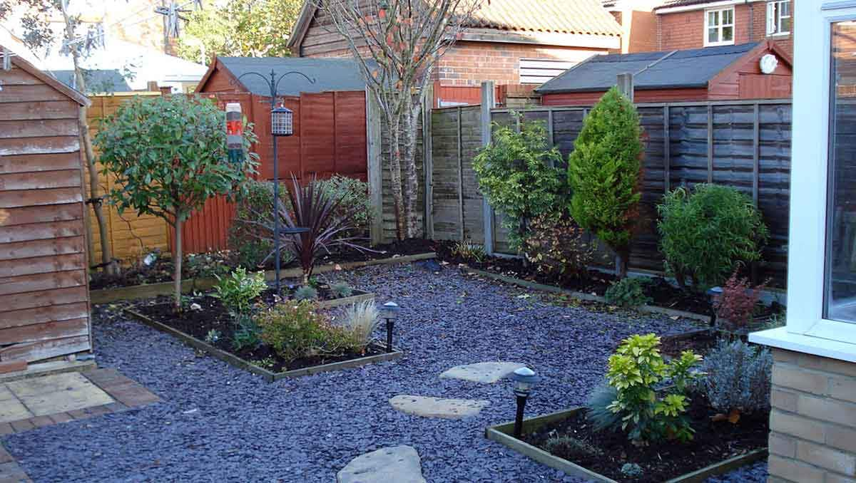 backyard garden