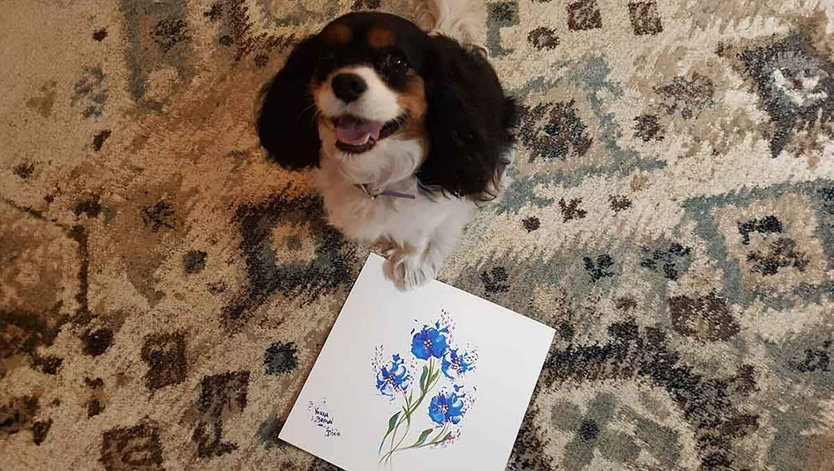 dog paw painting