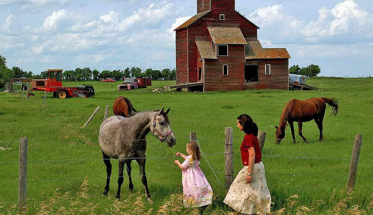 farm in canada