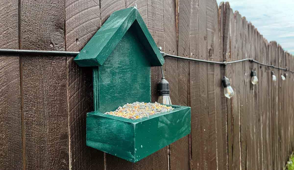 homemade bird feeder