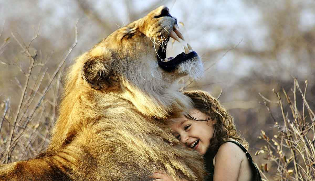 lion and human