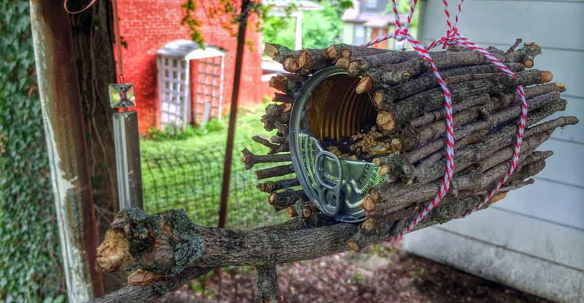 log feeding house