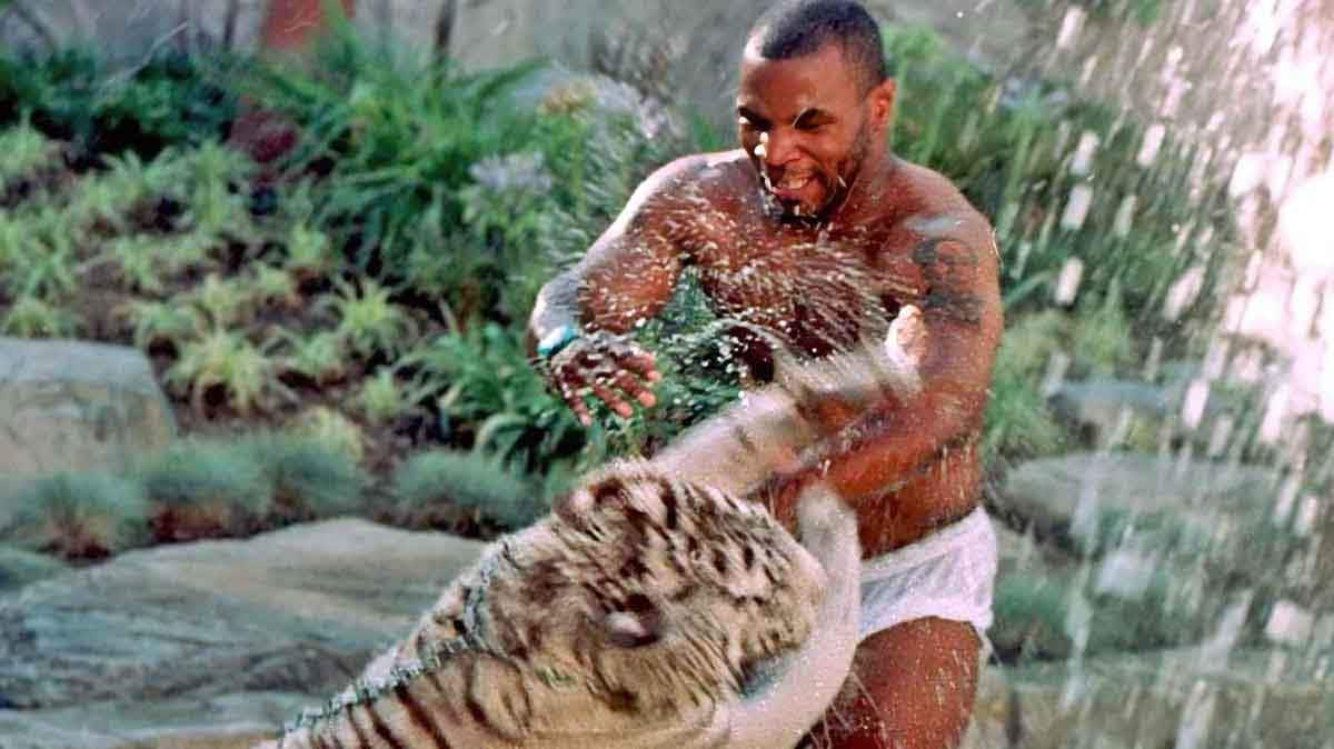 mike tyson s tiger