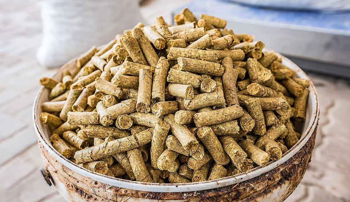 pellet animal food