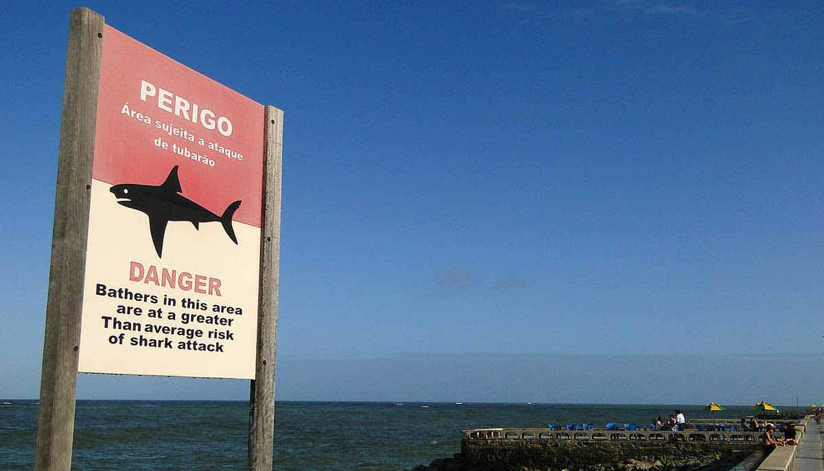 shark attack sign