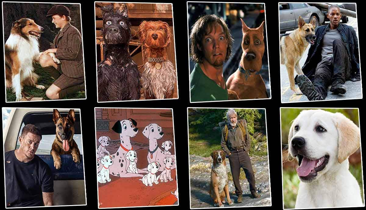 Top 8 Dog Movies: Heartwarming Films for Canine Lovers