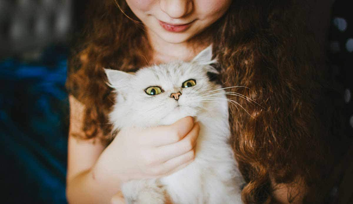 woman holding white cat