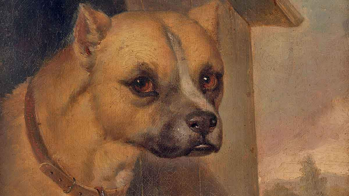 J.M. Crossland Staffordshire bull terrier belonging to the Rev. John Gower Google Art Project