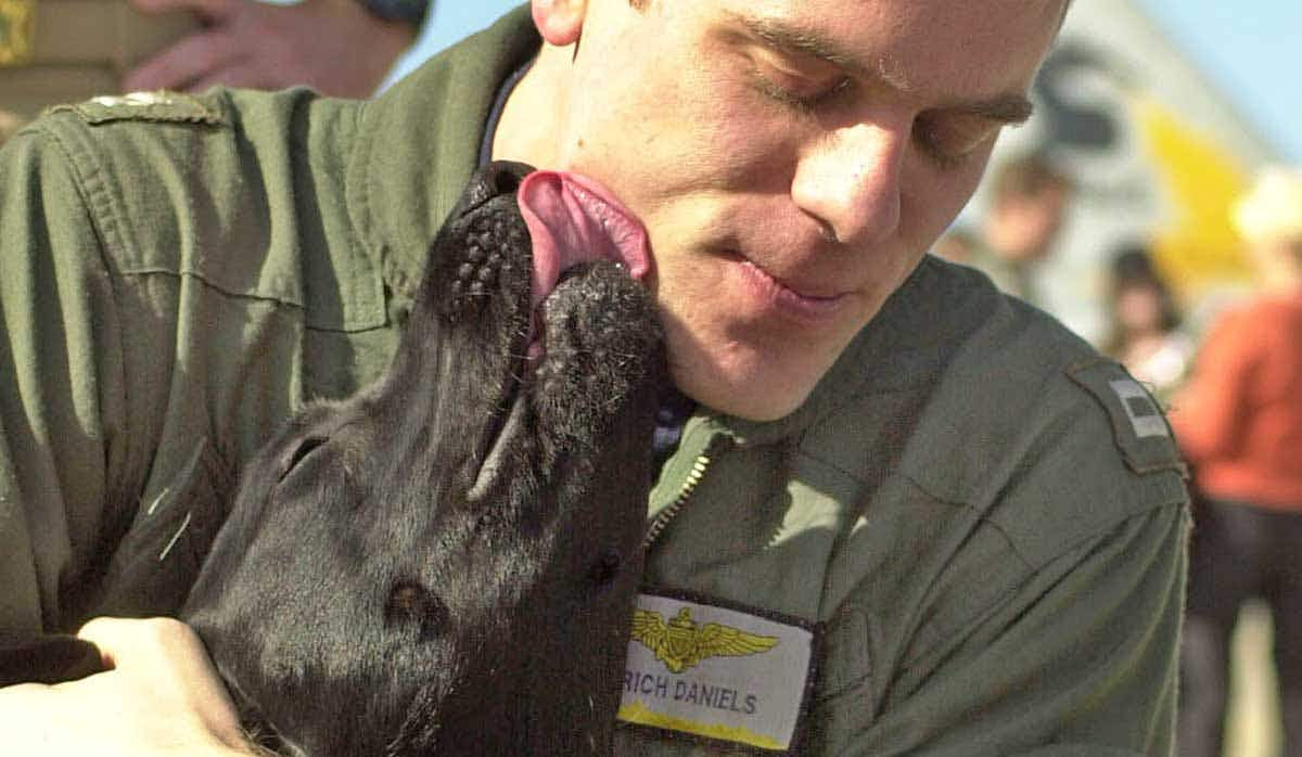 dog licking soldier