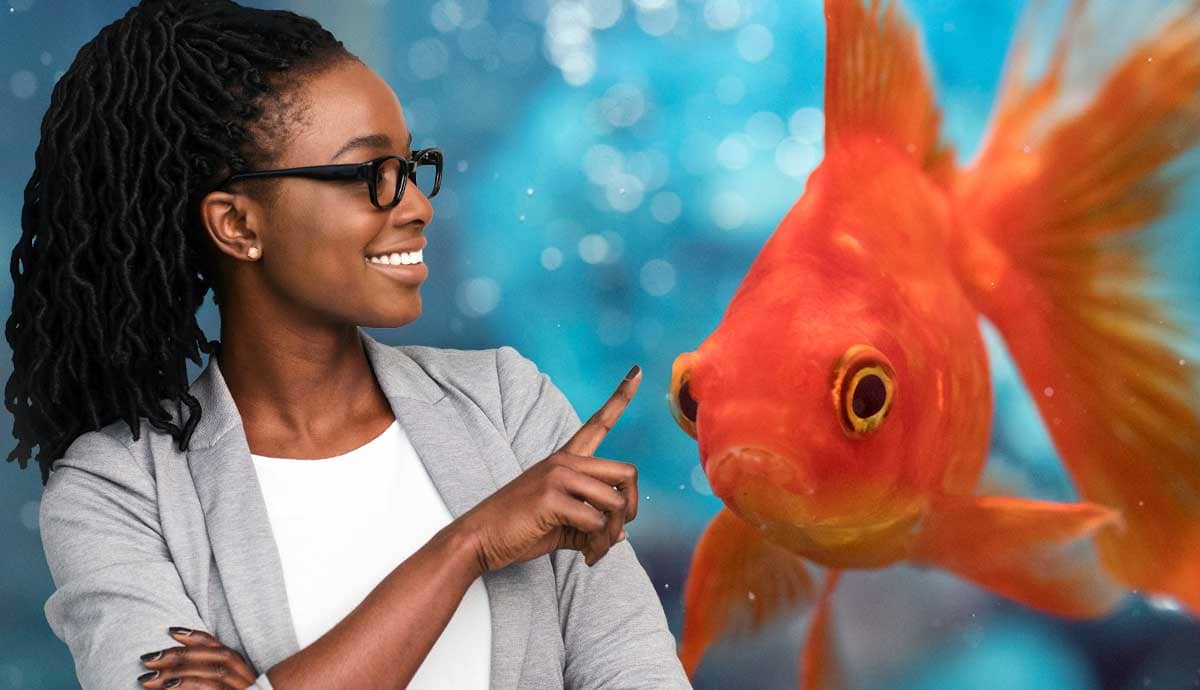 Can Fish Recognize Their Owners?