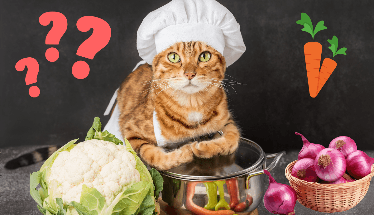 Can Cats Eat Root Vegetables and Mushrooms? What’s Safe and What to Avoid