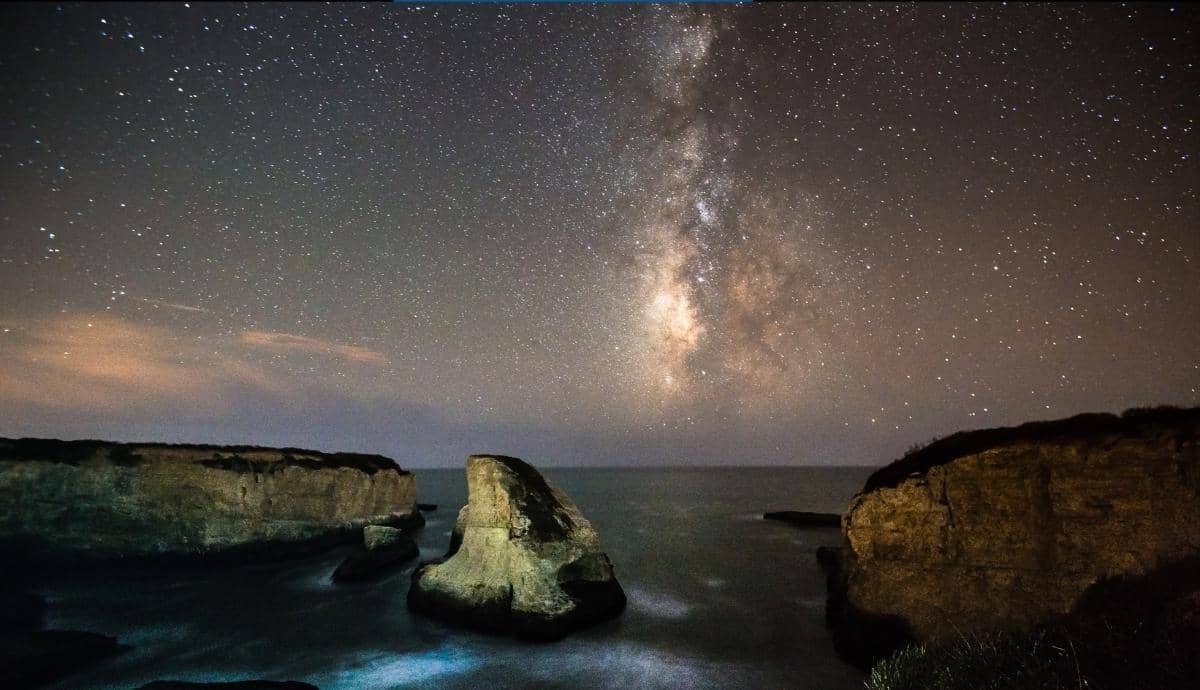 Shark Fin Cove: A Hidden Gem for Marine Life