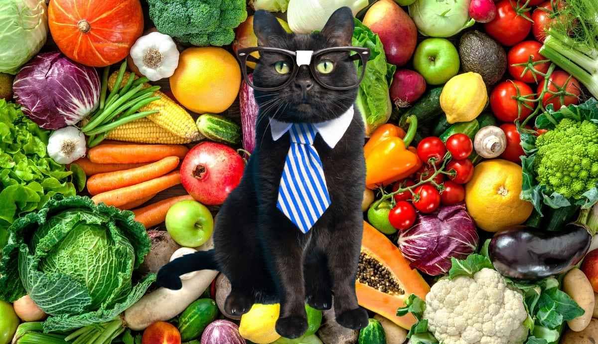 Can Cats Eat Vegetables? Safe and Unsafe Options Explained