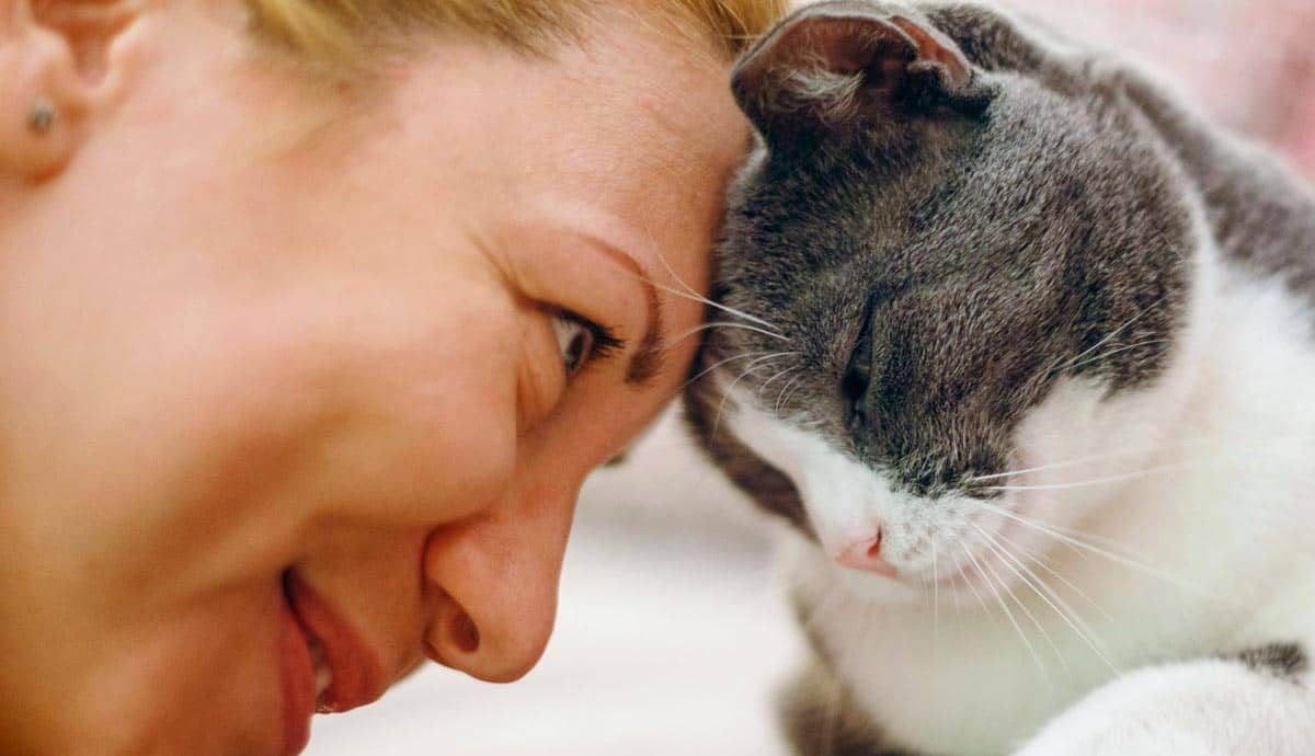 Can Cats Understand Human Words?